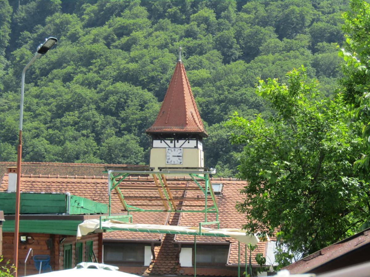 Pensiunea Gasthof Michelsberg 外观 照片