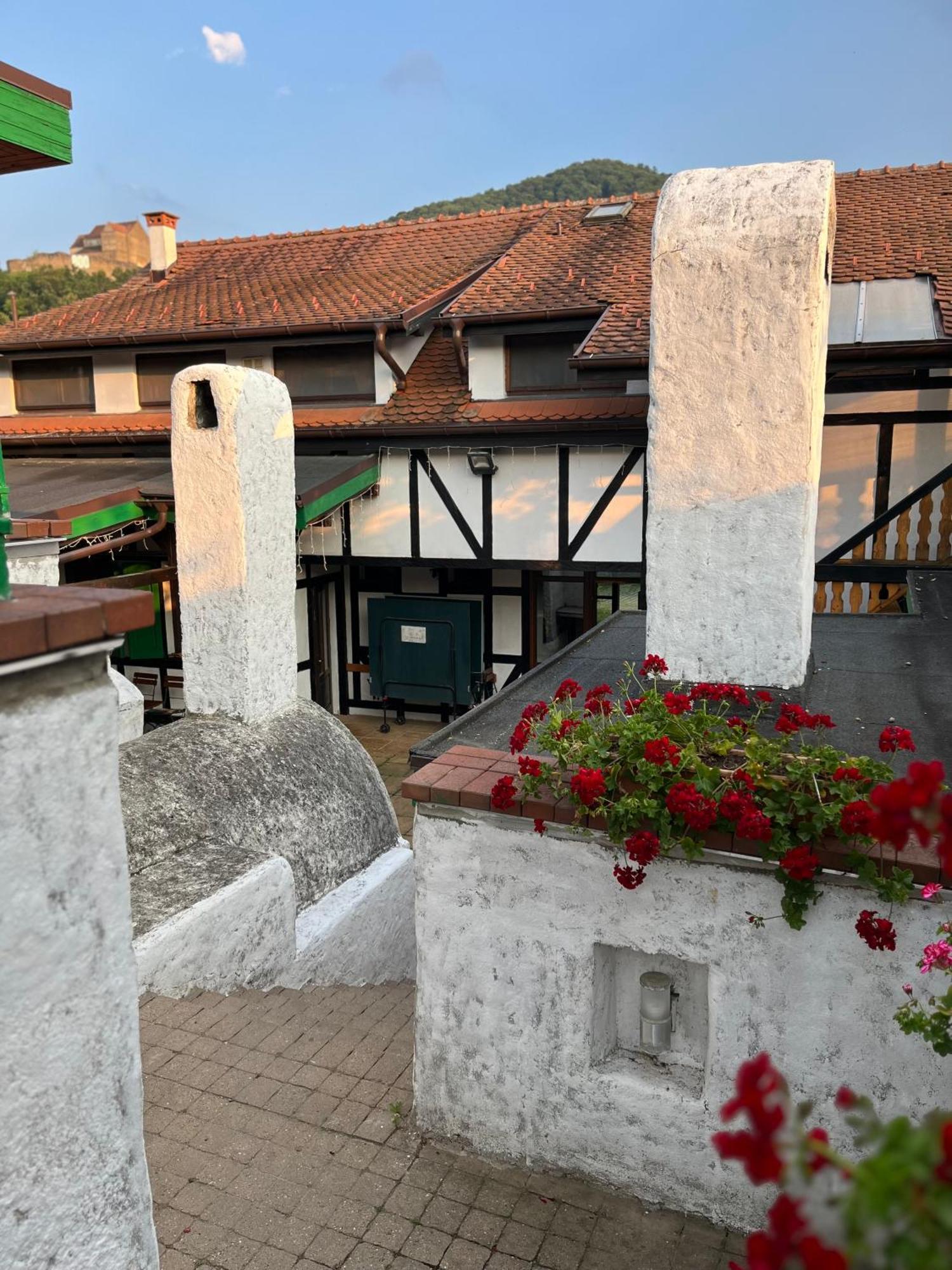 Pensiunea Gasthof Michelsberg 外观 照片